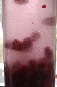Raspberry vodka snowglobe